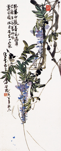 Paing Wisteria by Charles Chu